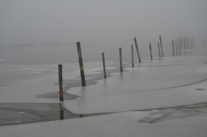 Meren rannassa veneiden kiinnitykseen tarkoitettuja paaluja sumussa.